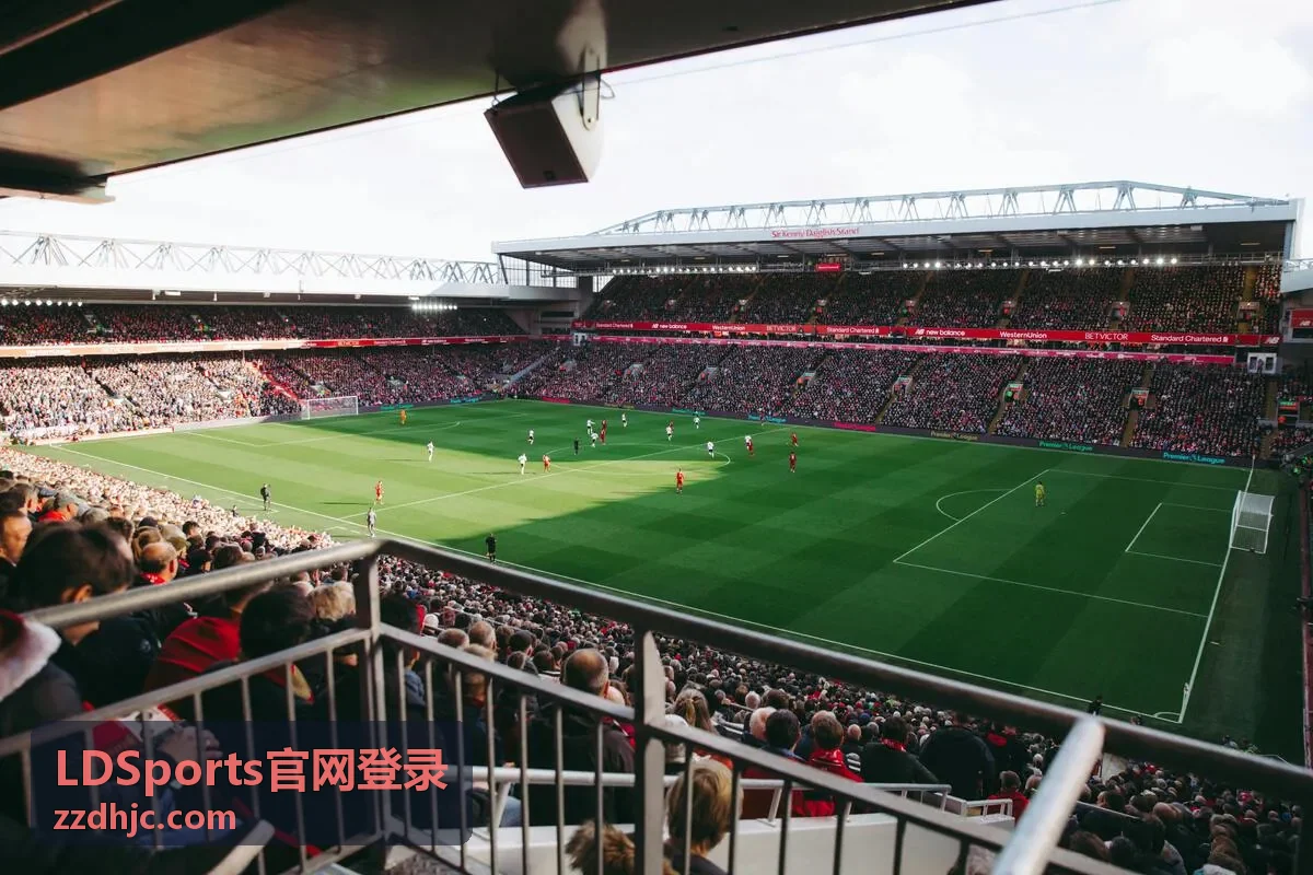 LDSports官网登录入口页面示意
