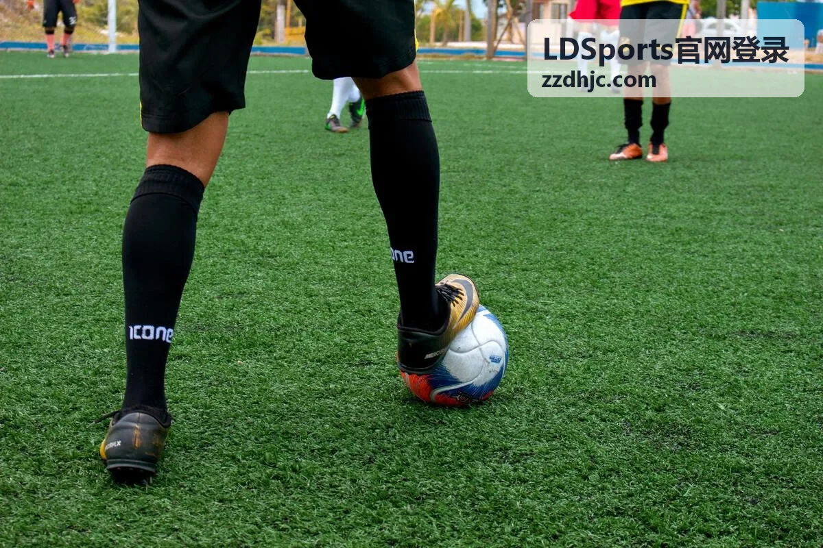 LDSports官网登录账号安全设置说明配图